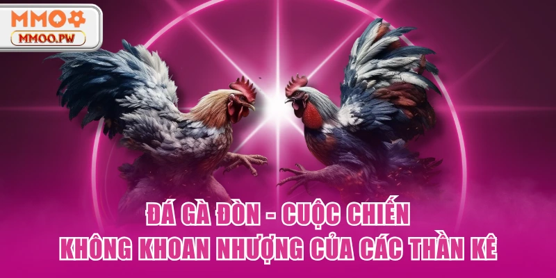 Đá Gà Đòn - Cuộc Chiến Không Khoan Nhượng Của Các Thần Kê