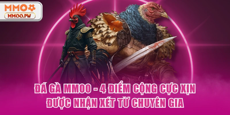 Đá Gà MMOO - 4 Điểm Cộng Cực Xịn Được Nhận Xét Từ Chuyên Gia Đá Gà MMOO - 4 Điểm Cộng Cực Xịn Được Nhận Xét Từ Chuyên Gia