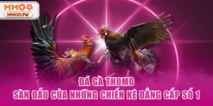 Đá Gà Thomo - Sàn Đấu Của Những Chiến Kê Đẳng Cấp Số 1