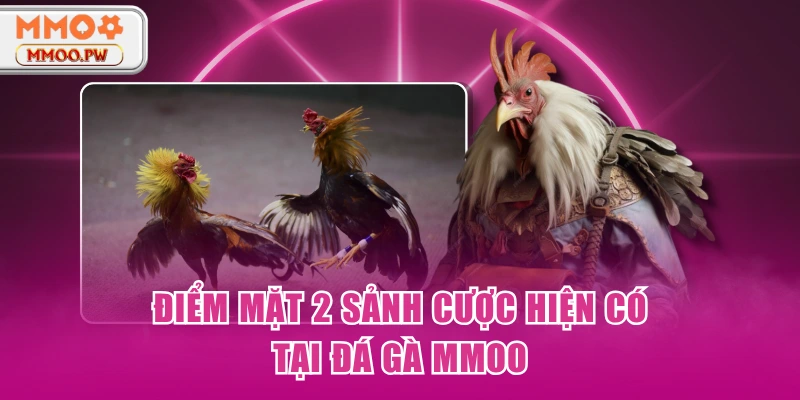 Điểm mặt 2 sảnh cược hiện có tại đá gà MMOO Điểm mặt 2 sảnh cược hiện có tại đá gà MMOO