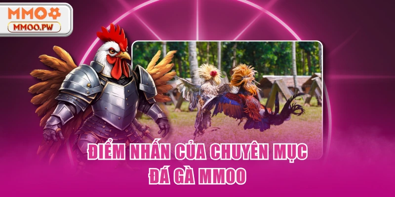 Điểm nhấn của chuyên mục đá gà MMOO Điểm nhấn của chuyên mục đá gà MMOO