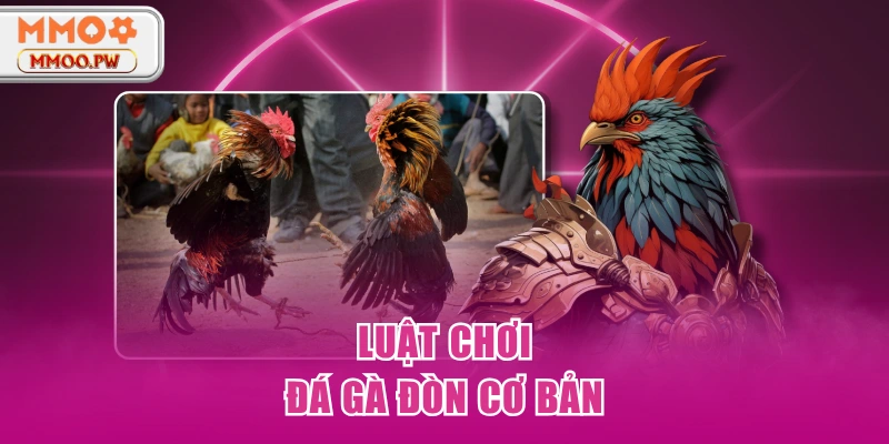 Luật chơi đá gà đòn cơ bản Luật chơi đá gà đòn cơ bản