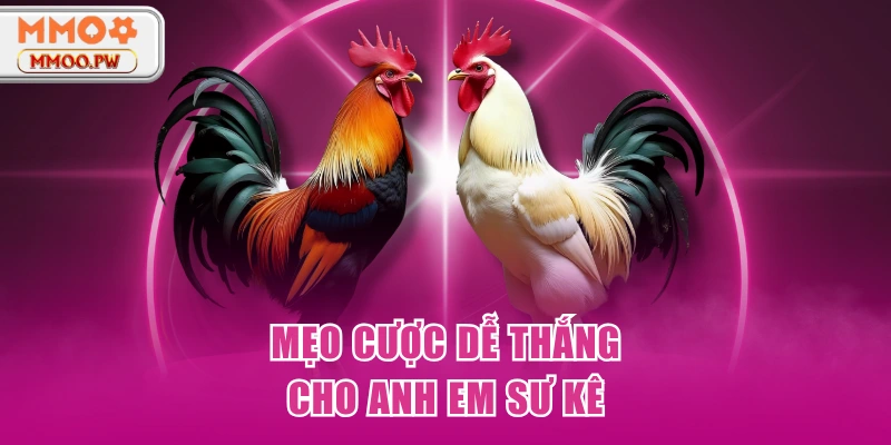 Mẹo cược dễ thắng cho anh em sư kê Mẹo cược dễ thắng cho anh em sư kê
