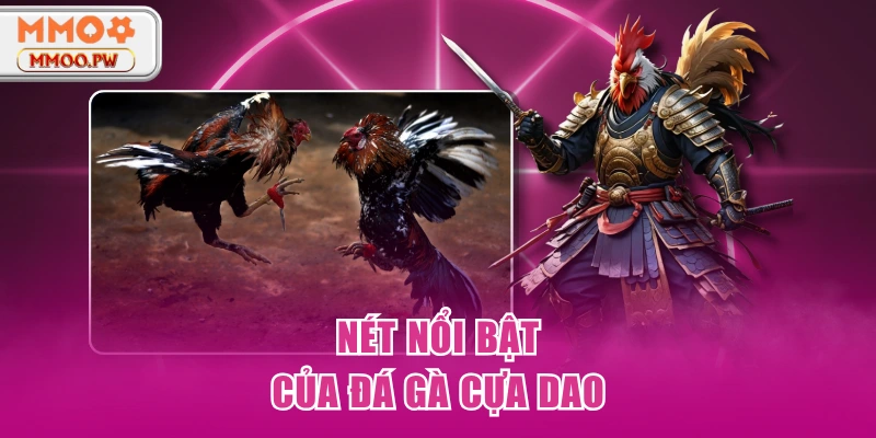 Nét nổi bật của đá gà cựa dao Nét nổi bật của đá gà cựa dao