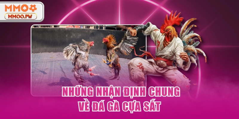 Những nhận định chung về đá gà cựa sắt Những nhận định chung về đá gà cựa sắt