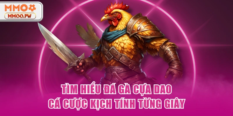 Tìm Hiểu Đá Gà Cựa Dao - Cá Cược Kịch Tính Từng Giây